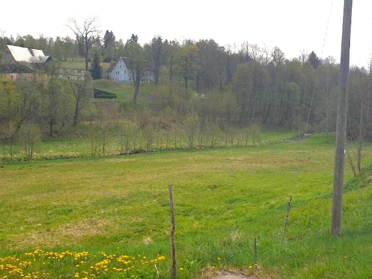 Spacious Holiday Home In Baerenstein With Garden エクステリア 写真